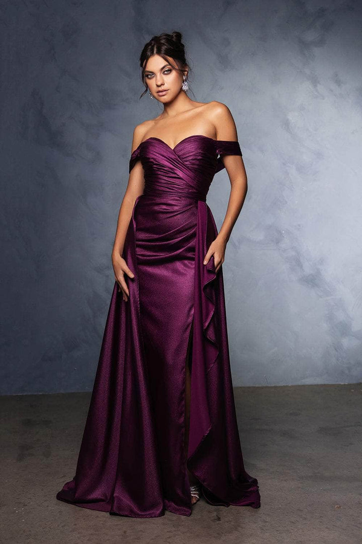 queen formal dresses Long A-Line Prom Dress with Lace-Up Embroidered Corset Champagne / Large