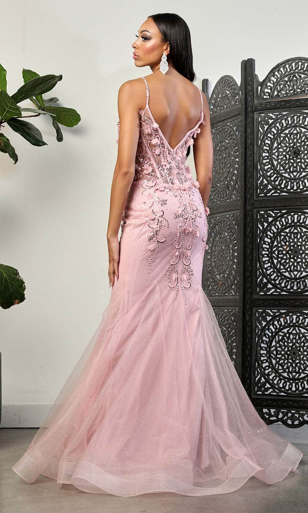 Blush V-Neck Floor-Length Tulle Prom Dress May Queen RQ8030