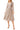 Mother of the Bride Dresses Short Mother of the BrideLong Sleeve Midi Beaded Dress CHAMPAGNE 