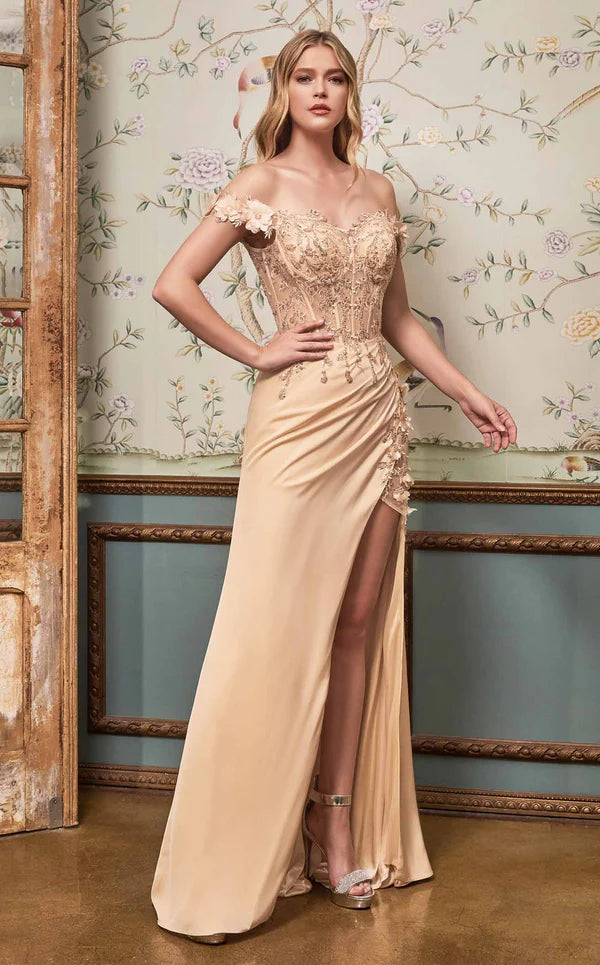Prom Dresses Long Corset Off-Shoulder Prom Dress Gown Champagne