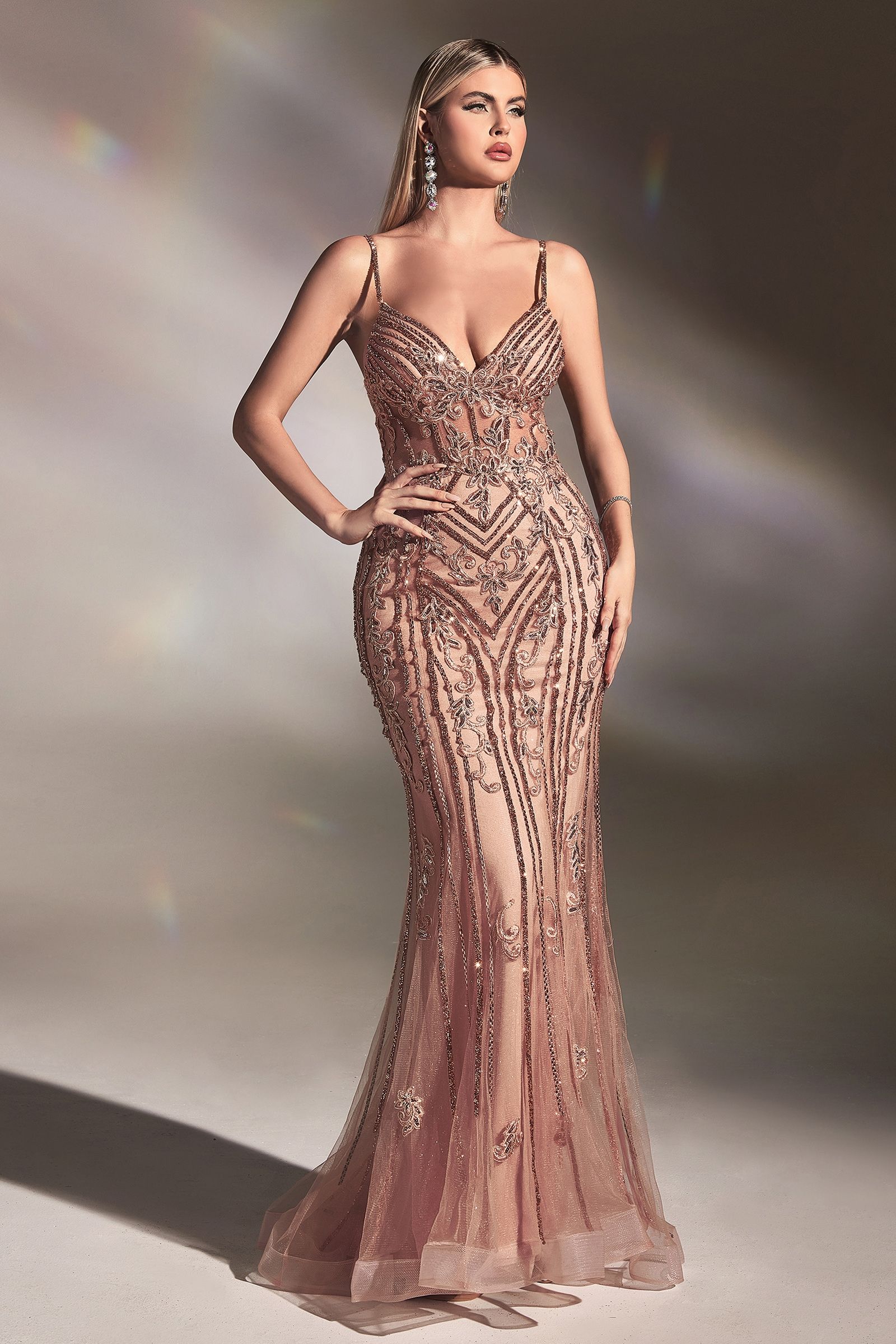 LaDivine CD992 Long Fitted Prom Dress