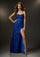 Prom Dresses Fitted Long Pattern Sequin Formal Prom Dress Royal