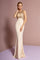 Prom Long Dress Evening Party Gown - The Dress Outlet Elizabeth K