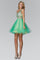 Prom Short Dress Formal Homecoming - The Dress Outlet Elizabeth K
