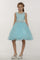 Rhinestone Lace Flower Girl Dress with Peekaboo Waist - The Dress Outlet Cinderella Couture
