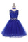 Rhinestone Lace Flower Girl Dress with Peekaboo Waist - The Dress Outlet Cinderella Couture