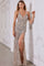 Prom Dresses Sequin Prom Long Fitted Formal Dress Nude Silver
