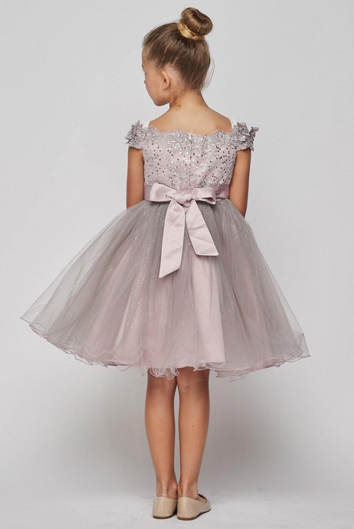 Party / Flower Girl Dress (216-C)
