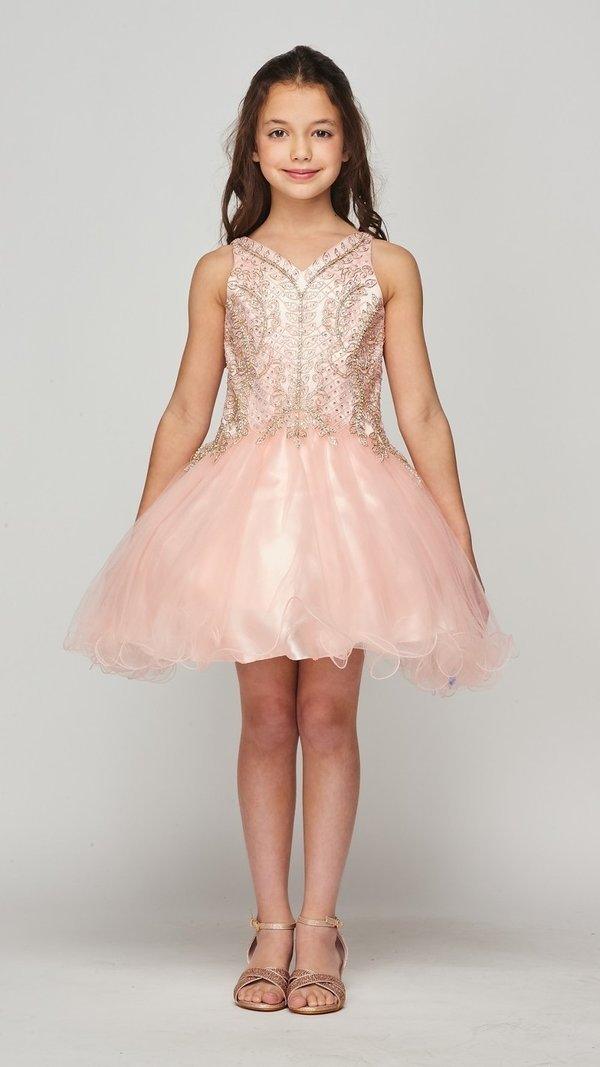 Short Tulle Dress Sleeveless Flower Girl