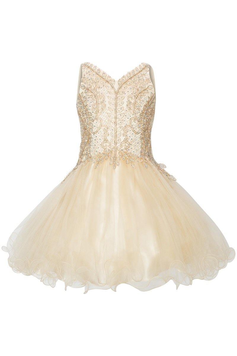 Short Tulle Dress Sleeveless Flower Girl