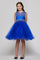 Sleeveless Illusion Neckline Sparkle Flower Girl Dress - The Dress Outlet Cinderella Couture
