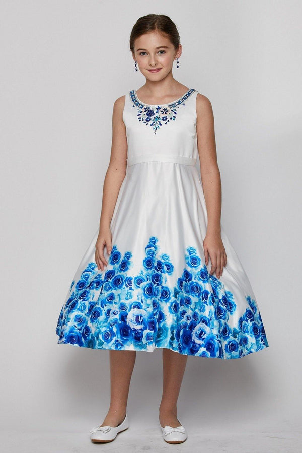 Sleeveless Rose Print Dress with Embellished Neckline Flower Girl