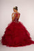Sweet 16 Ball Gown Long Quinceanera - The Dress Outlet Elizabeth K