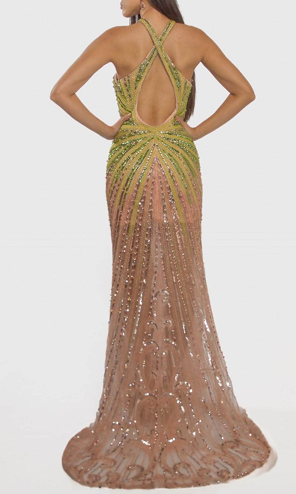 Terani Couture 241GL2679 Long Formal Evening Beaded Dress – The Dress Outlet