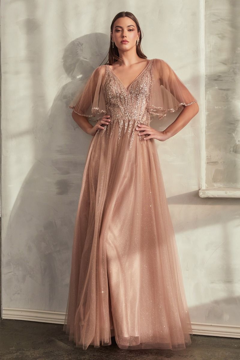Ladivine CD0175 | Long A-Line Dress Ladivine CD0175 | Long A-Line Dress