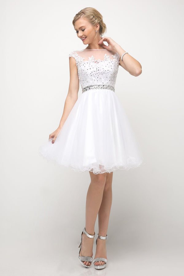 Illusion Mini Short Tulle Wedding Fit & Flare LaDivine UJ0012