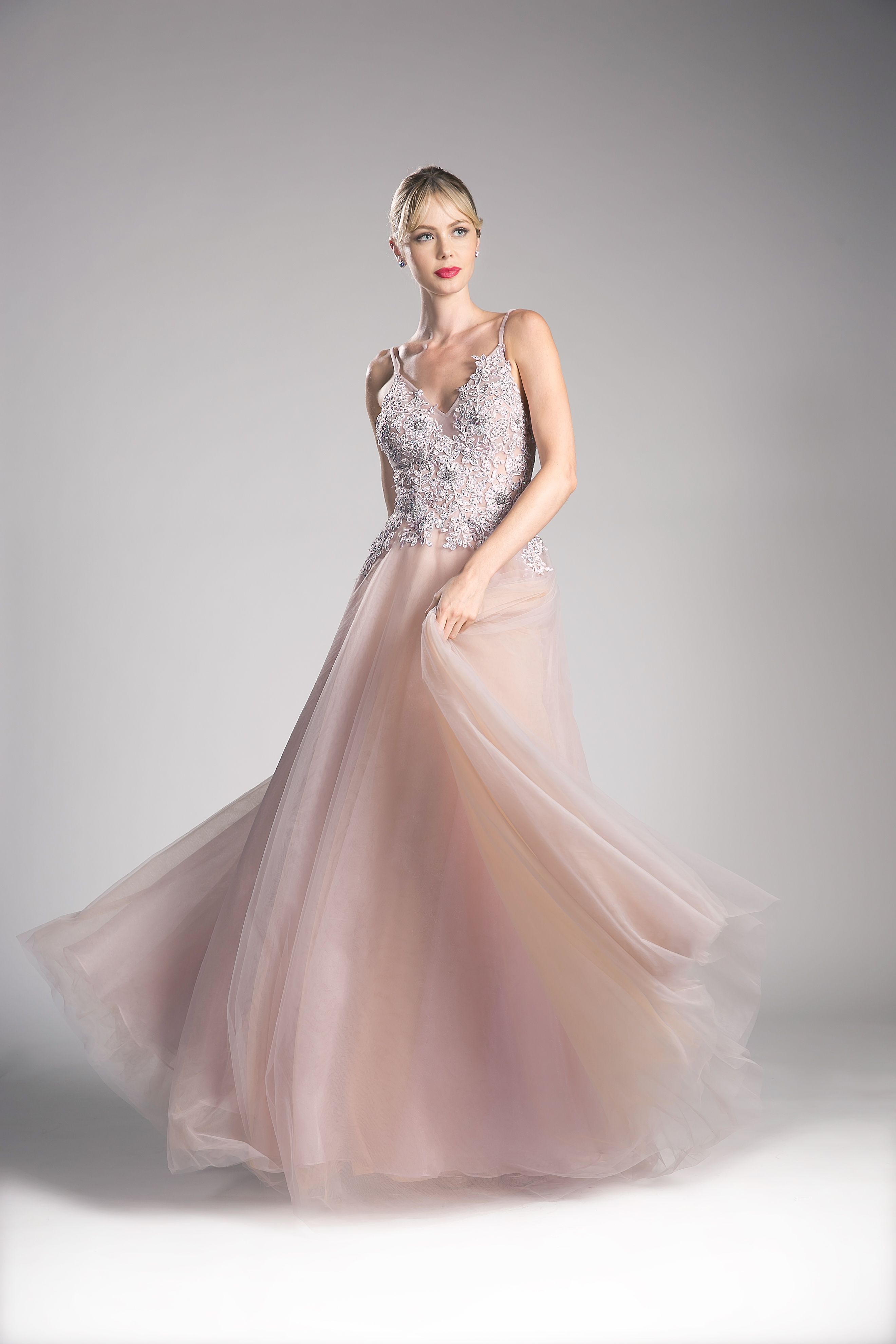 Prom Dresses Formal Long Applique Fitted Evening Dress Blush