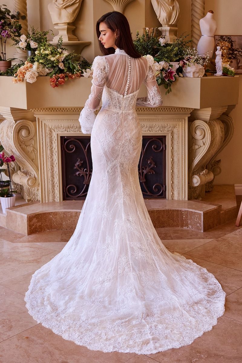 white long lace dress Andrea and Leo WL042 Long Prom Dress Off White/Nude / 12