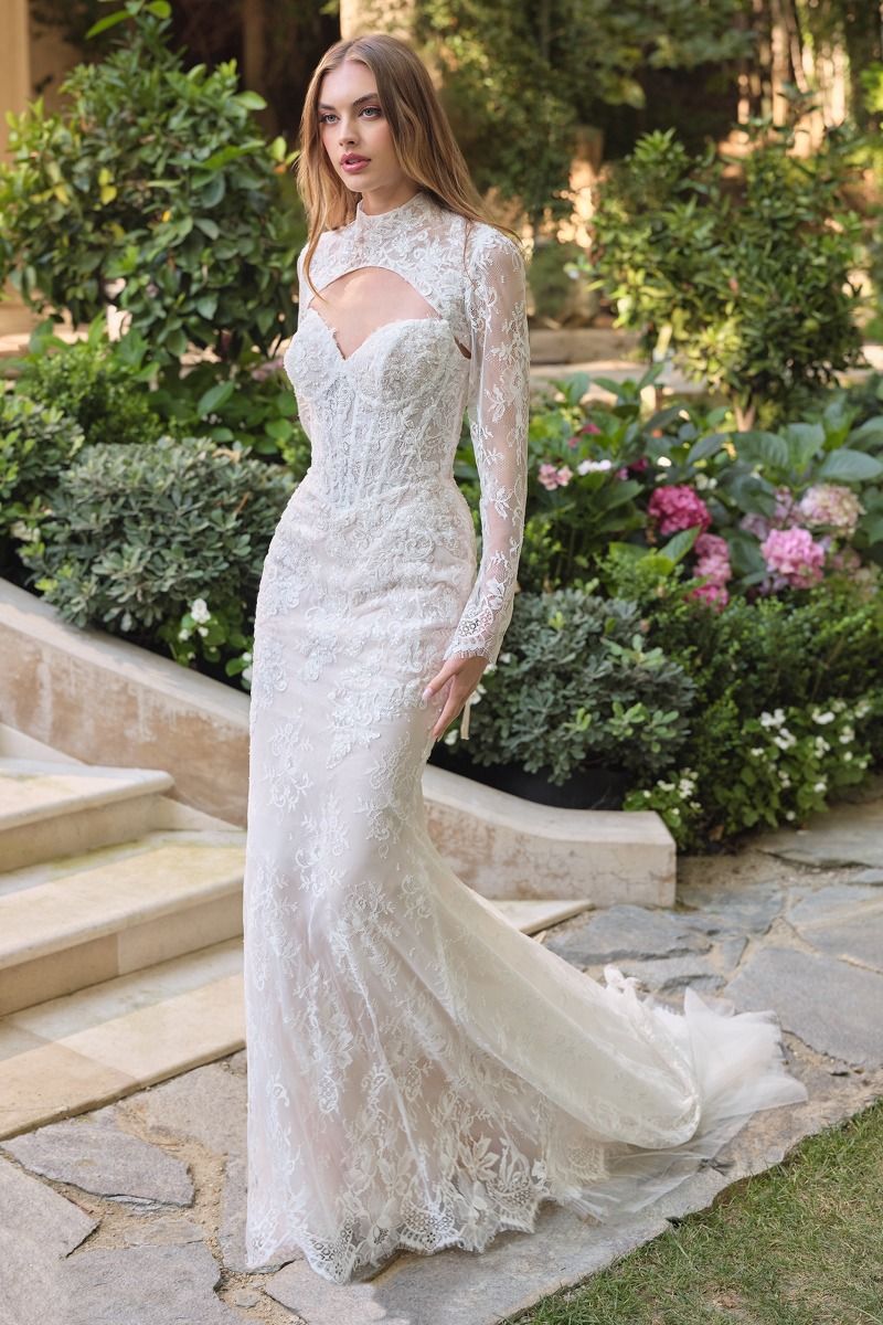 Andrea & Leo WL071 Corset Long Lace Bridal Wedding Dress – The Dress Outlet