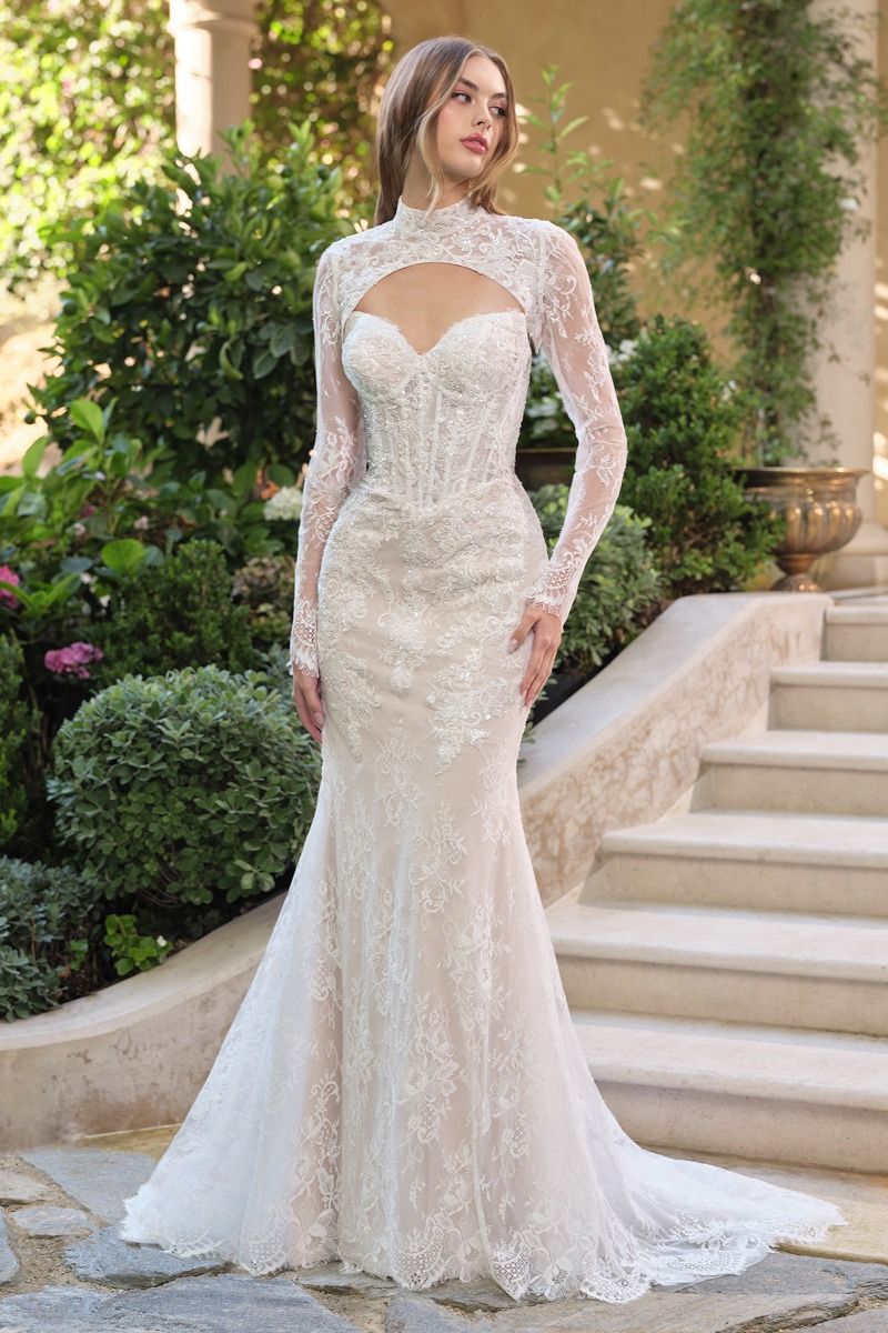 Andrea & Leo WL071 Corset Long Lace Bridal Wedding Dress The Dress Outlet Andrea & Leo WL071 Corset Long Lace Bridal Wedding Dress The Dress Outlet