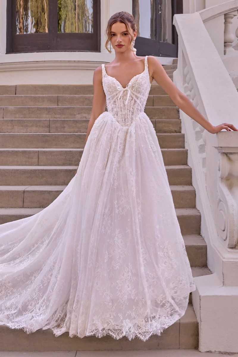 Sweetheart Floor-Length Lace Wedding Ball Gown Andrea & Leo WL073