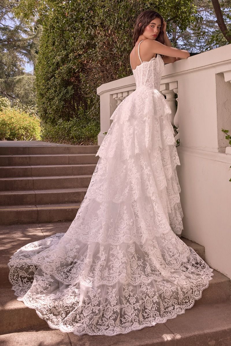 Sweetheart Floor-Length with Train Lace Wedding Dress Ball Gown Andrea & Leo WL076