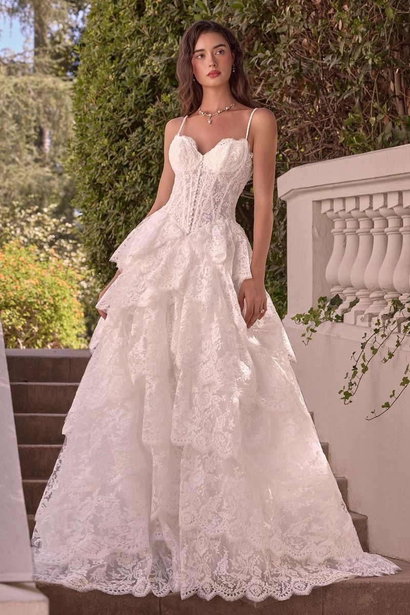 Sweetheart Floor-Length with Train Lace Wedding Dress Ball Gown Andrea & Leo WL076