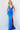 Prom Dresses Long Formal Fitted Prom Dress Royal