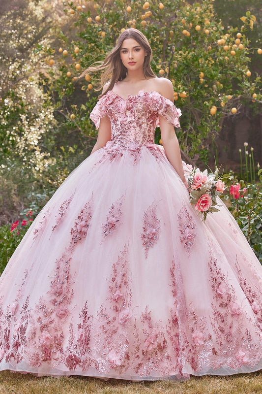 Prom Dresses Ballgown Prom Dress Blush