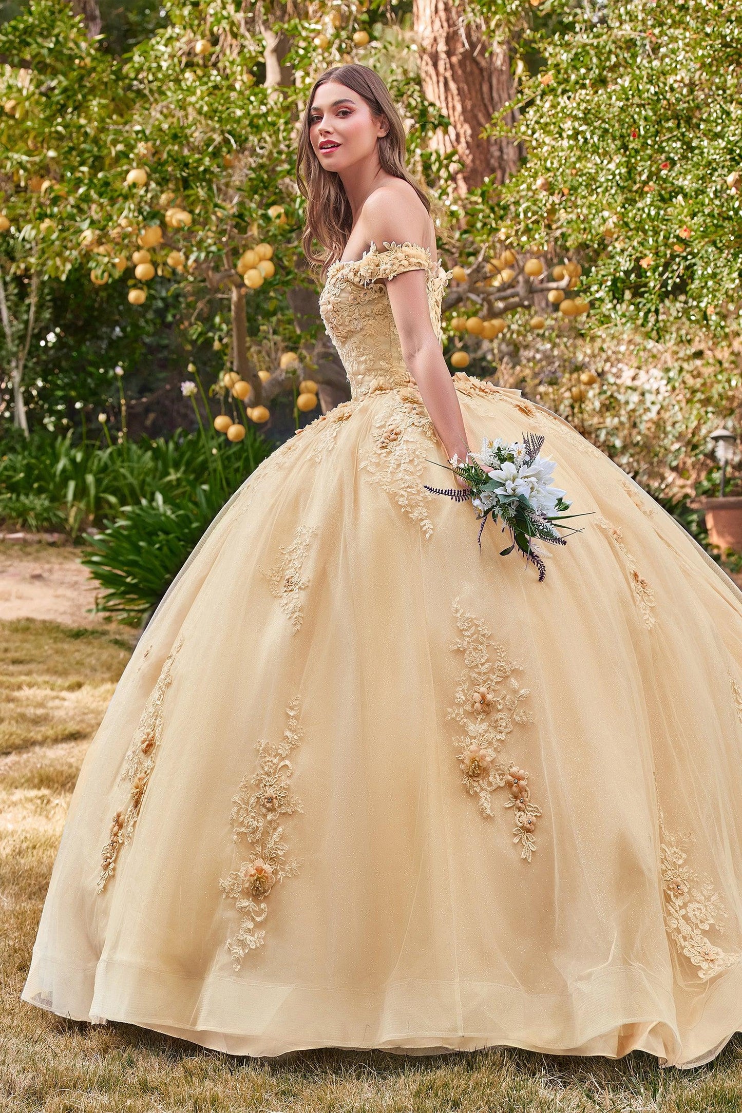 Quinceanera Dresses Quinceanera Dress Long Sweet 16 Ball Gown Champagne