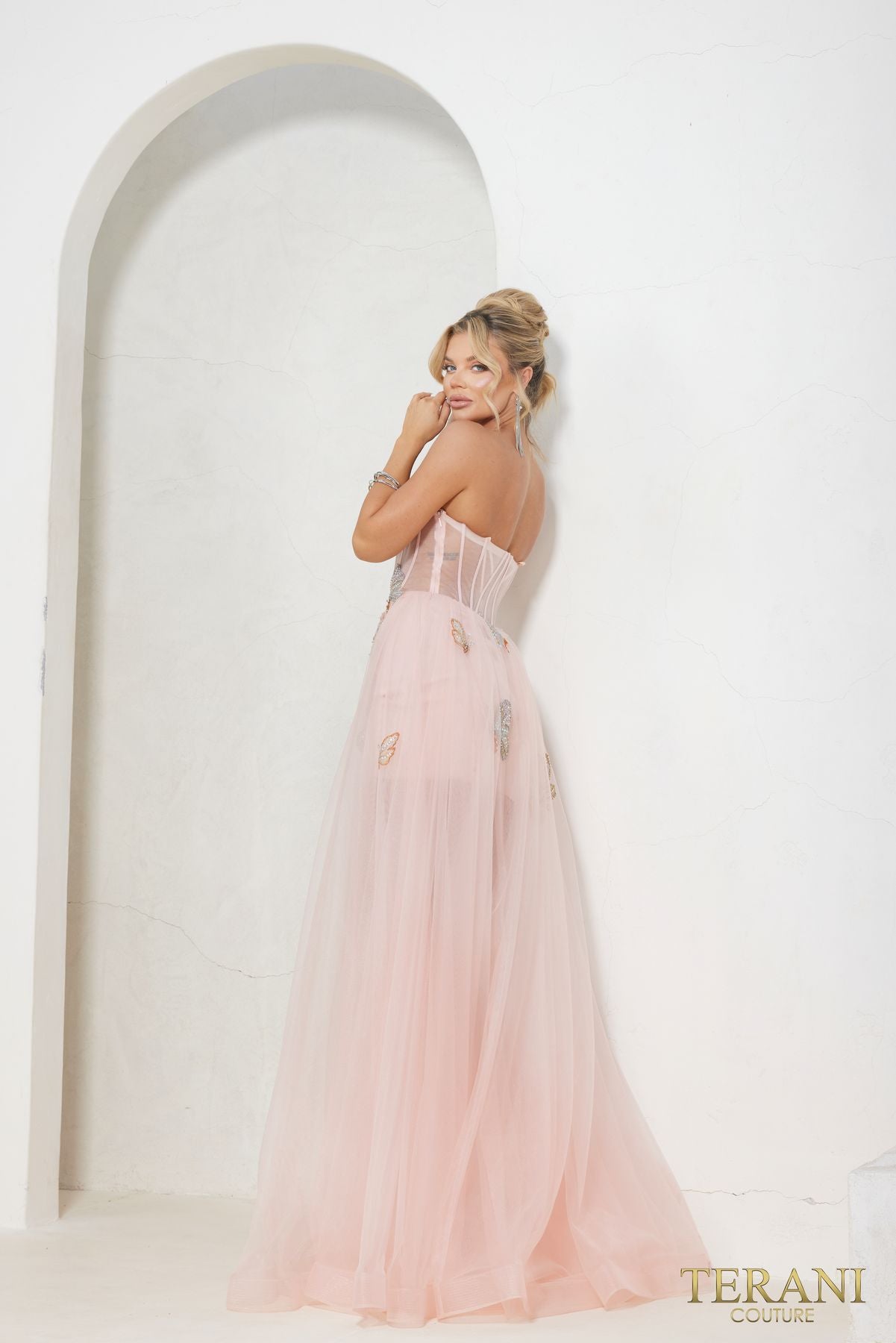 Terani Couture 241P2087 Long A Line Ballgown