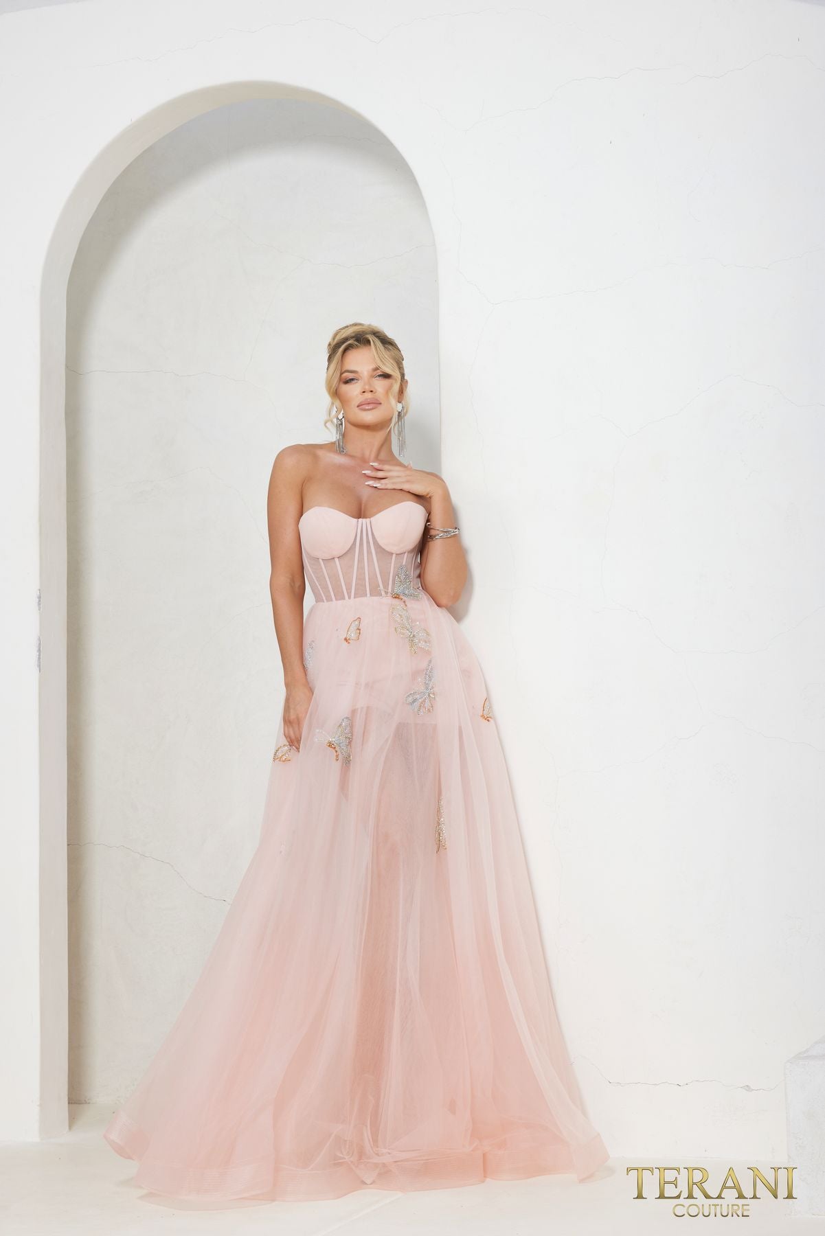 Terani Couture 241P2087 Long A Line Ballgown