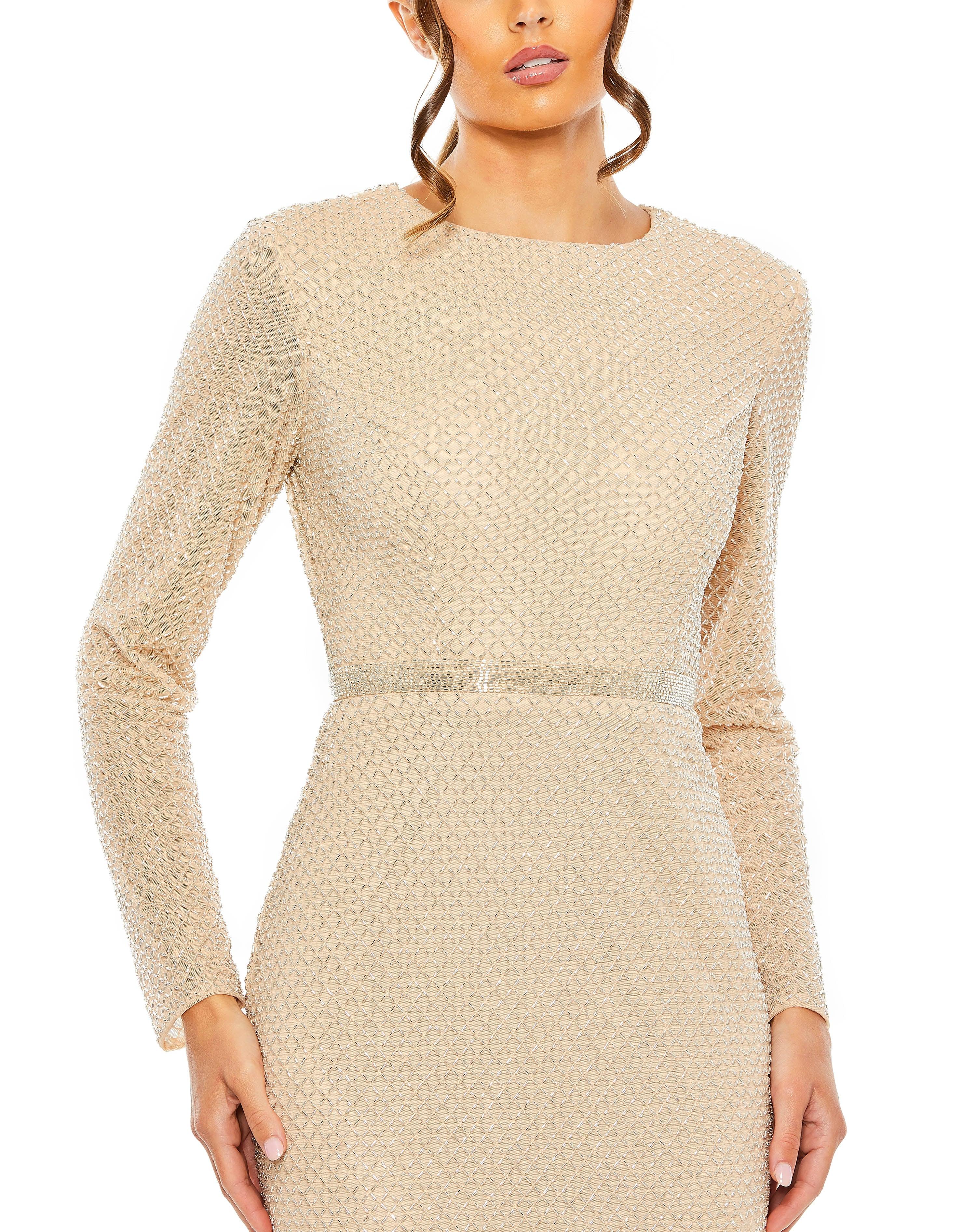 Formal Dresses Long Sleeve Formal Evening Dress Nude Silver