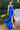 Cinderella Couture CC8048J Sleeveless Fitted Beaded Formal Dress Royal