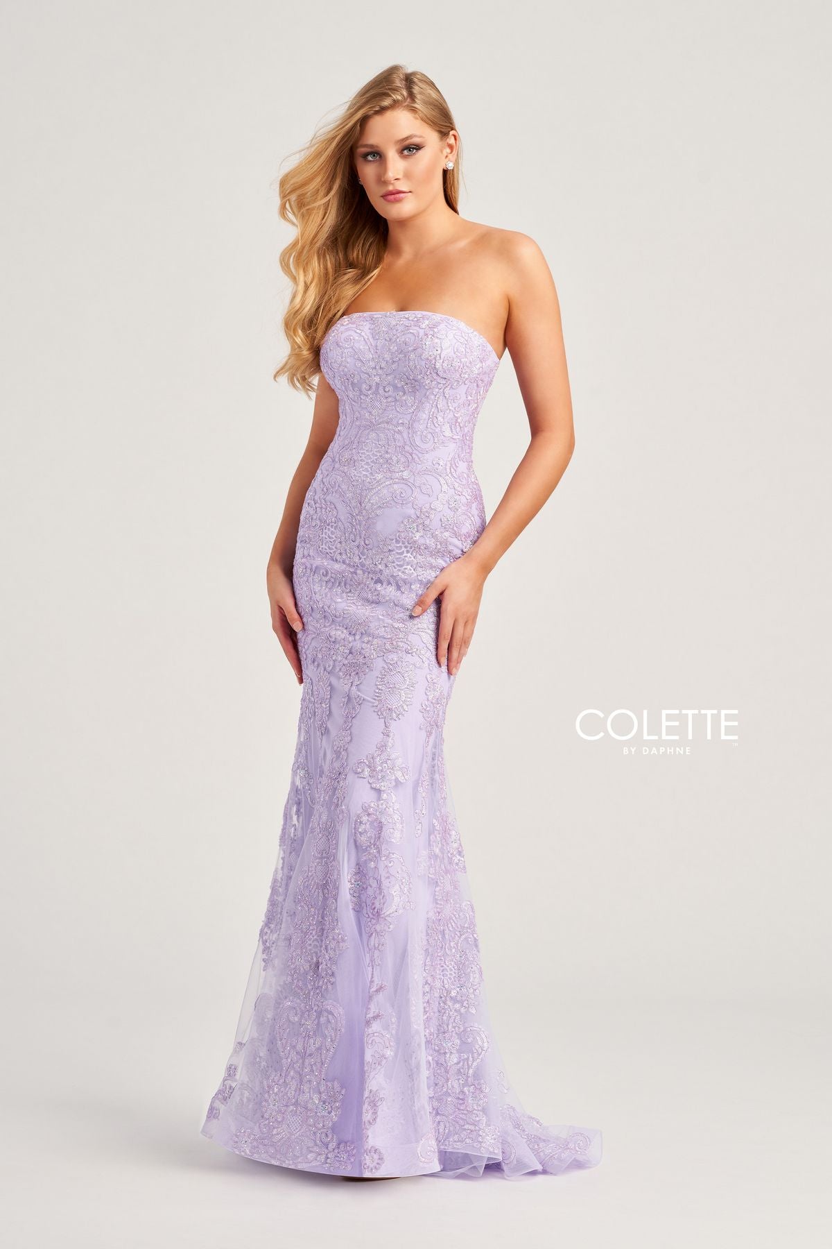 Chloe Formal Collar Slim-Fit Mermaid Dress