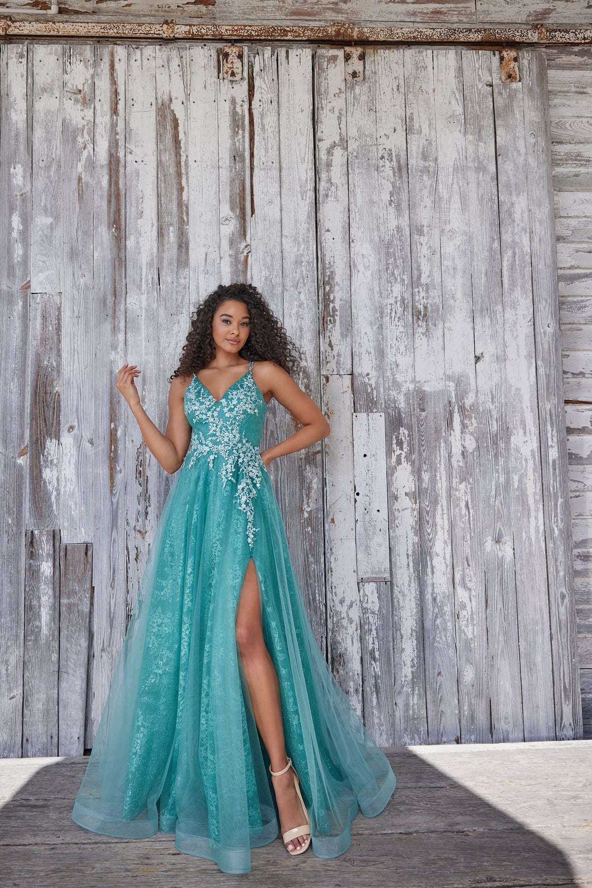 Colette CL5197 Long Glitter Formal Applique Prom Dress