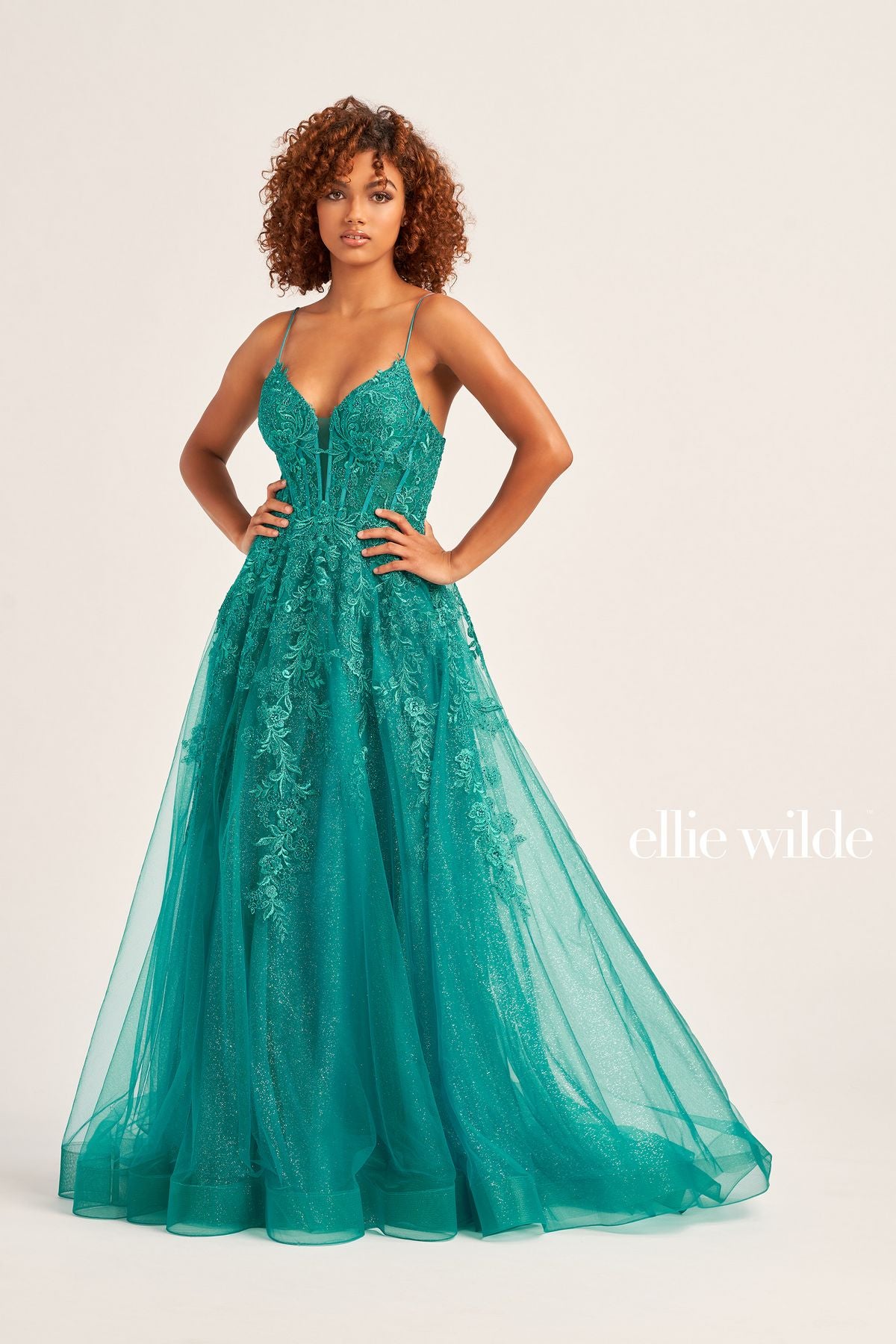 Ellie Wilde EW34036 Long A Line Dress Prom Ball Gown