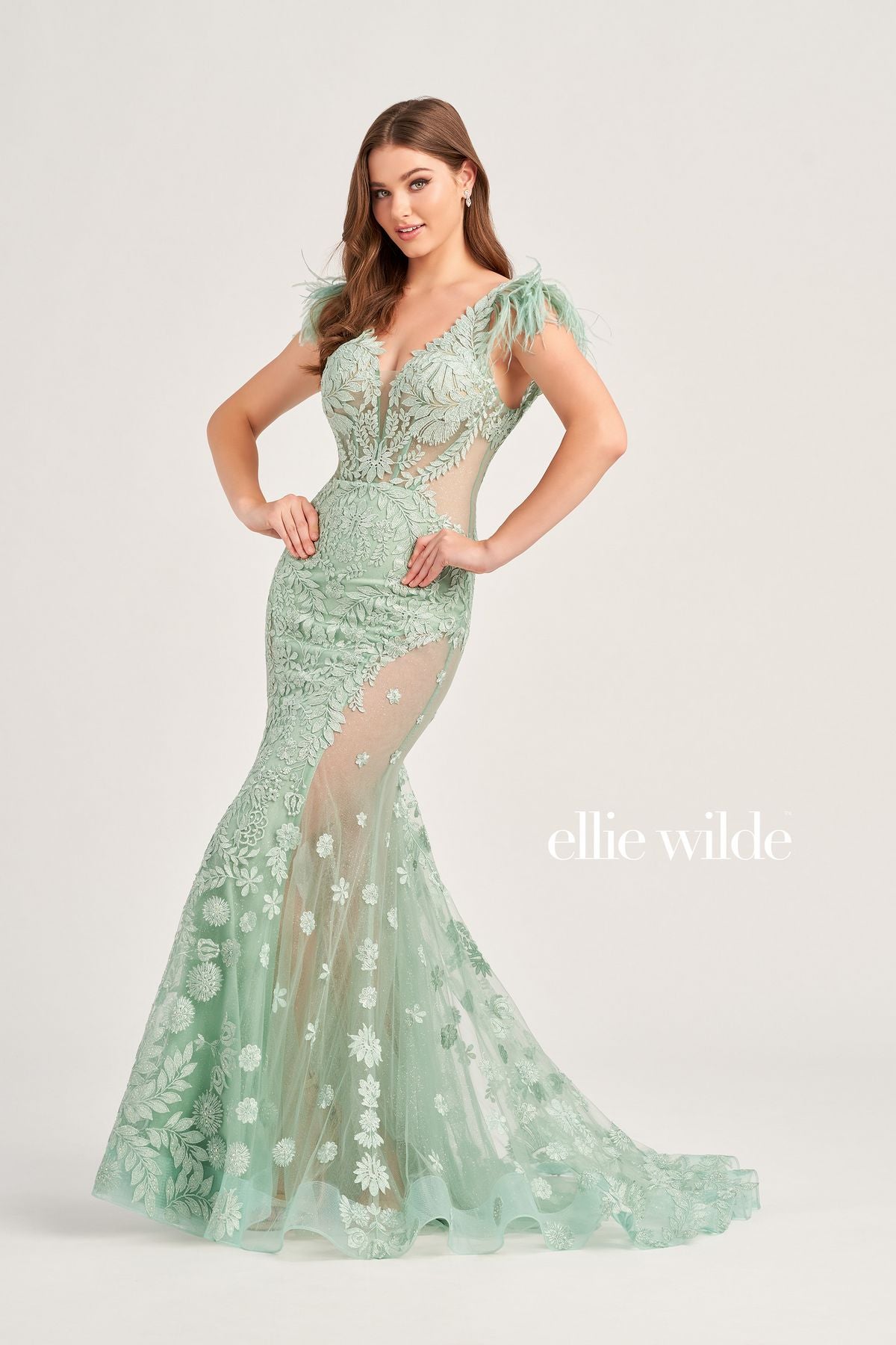 Ellie Wilde EW35009 Prom Long Formal Detachable Feather Dress