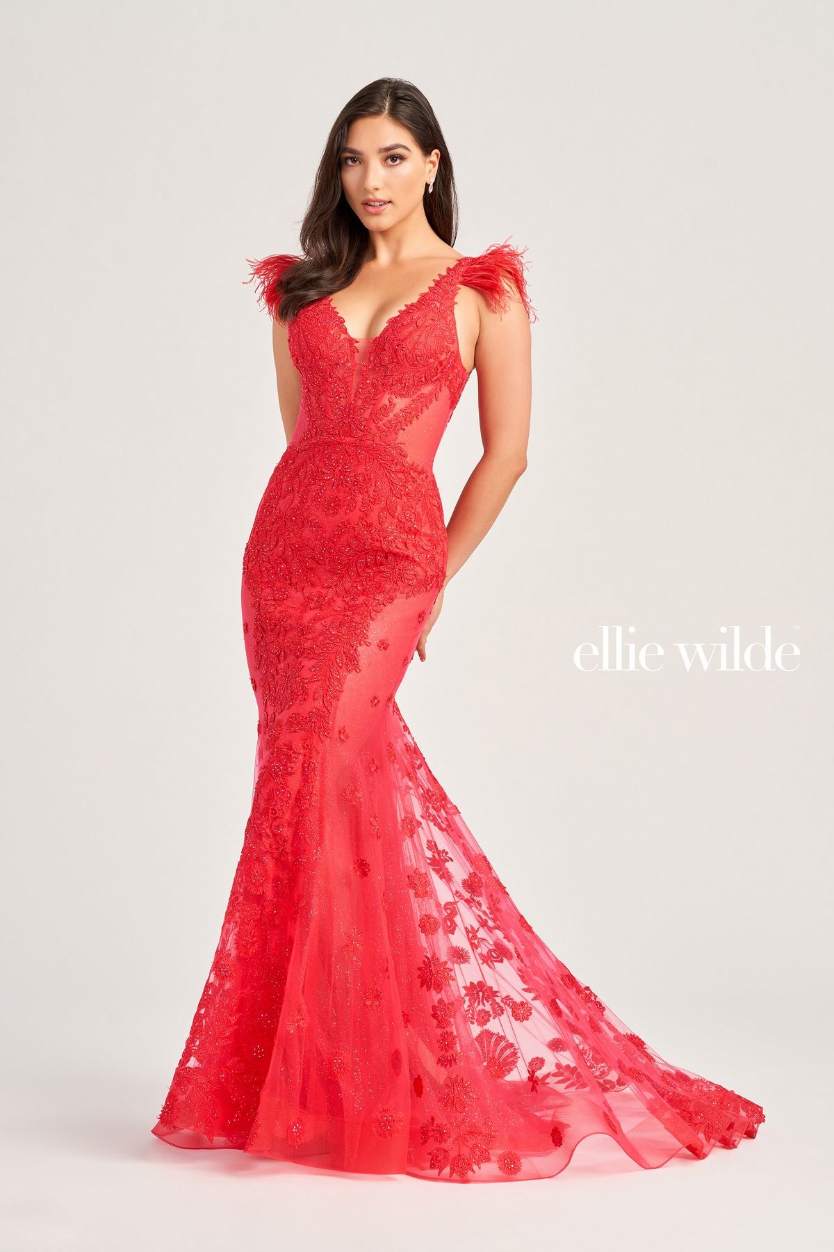 Ellie Wilde EW35009 Prom Long Formal Detachable Feather Dress