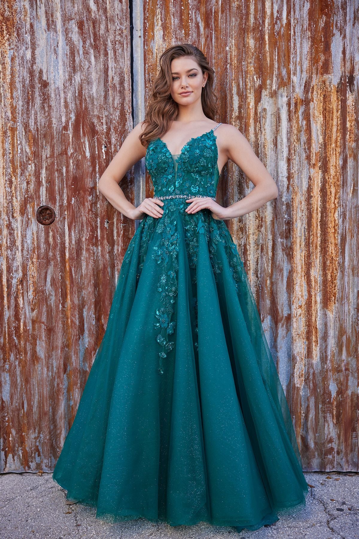 Ellie Wilde EW35113 Long Glitter Ball Gown Prom Dress