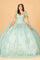 Quinceniera Dresses Long Quinceanera Dress Mesh Ball Gown Sage