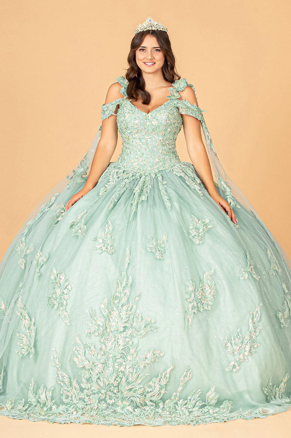 Long Quinceanera Dress Mesh Ball Gown