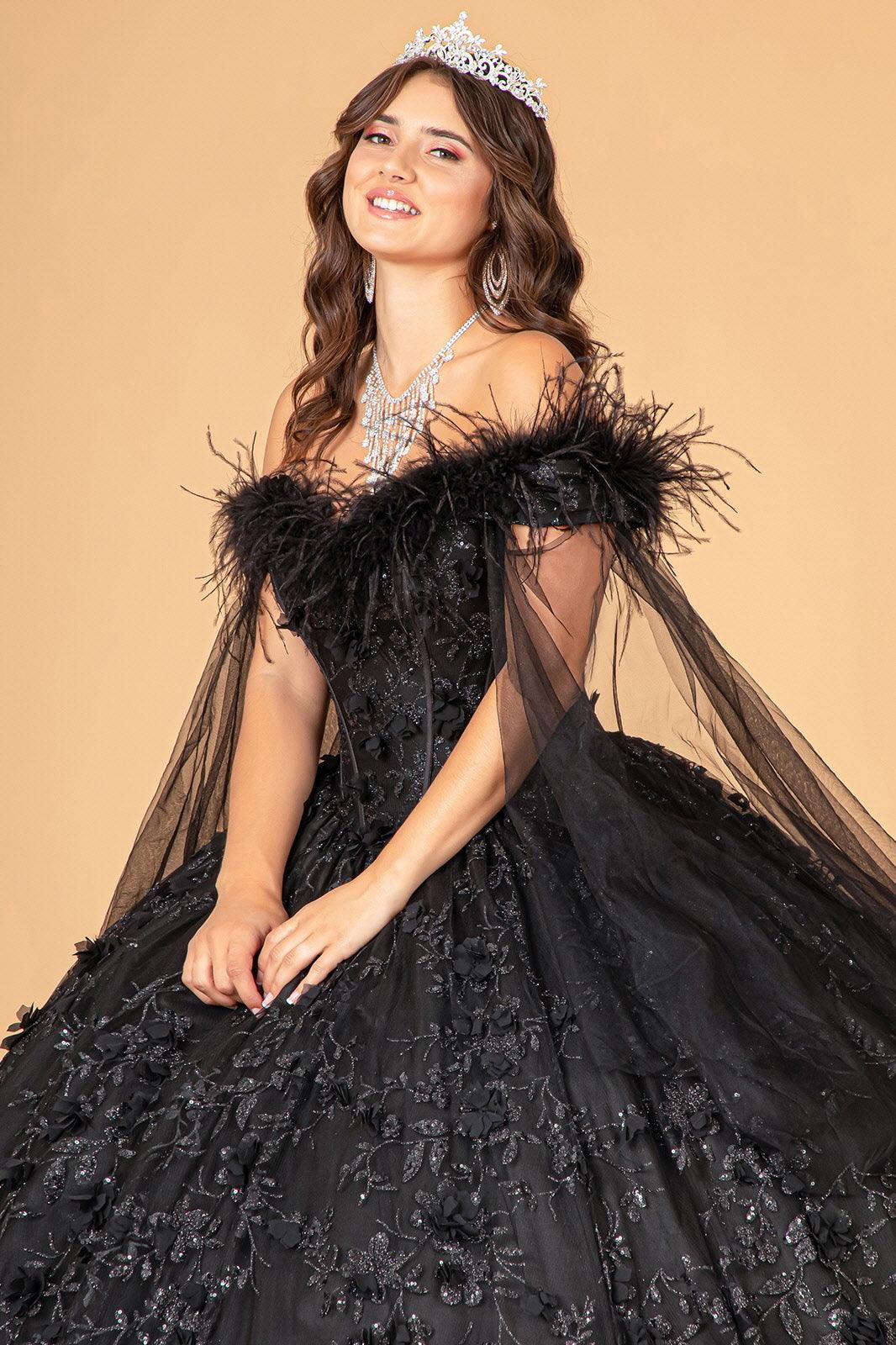 Quinceniera Dresses Long Ball Gown Mesh Quinceanera Dress Black