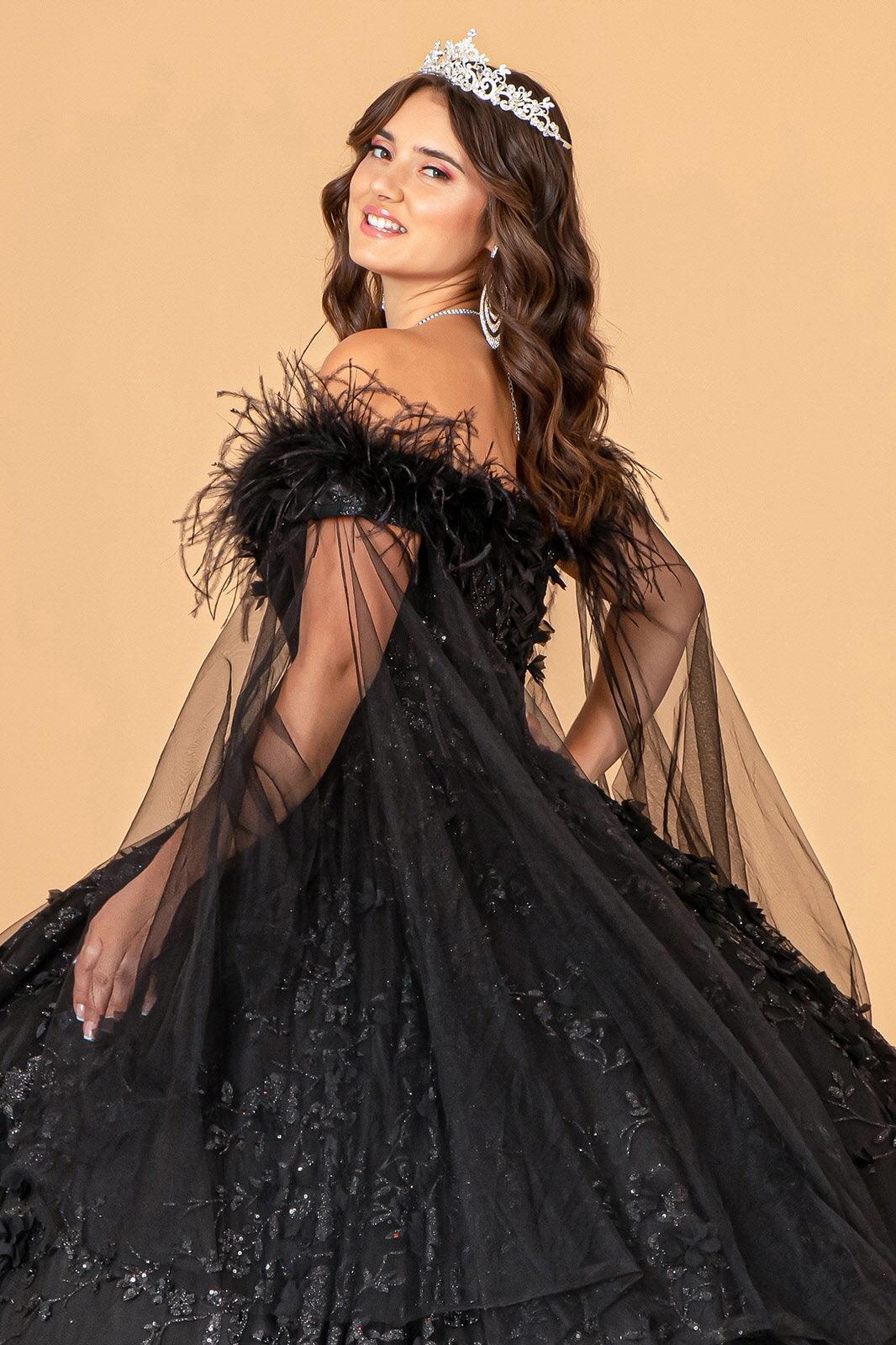 Quinceniera Dresses Long Ball Gown Mesh Quinceanera Dress Black