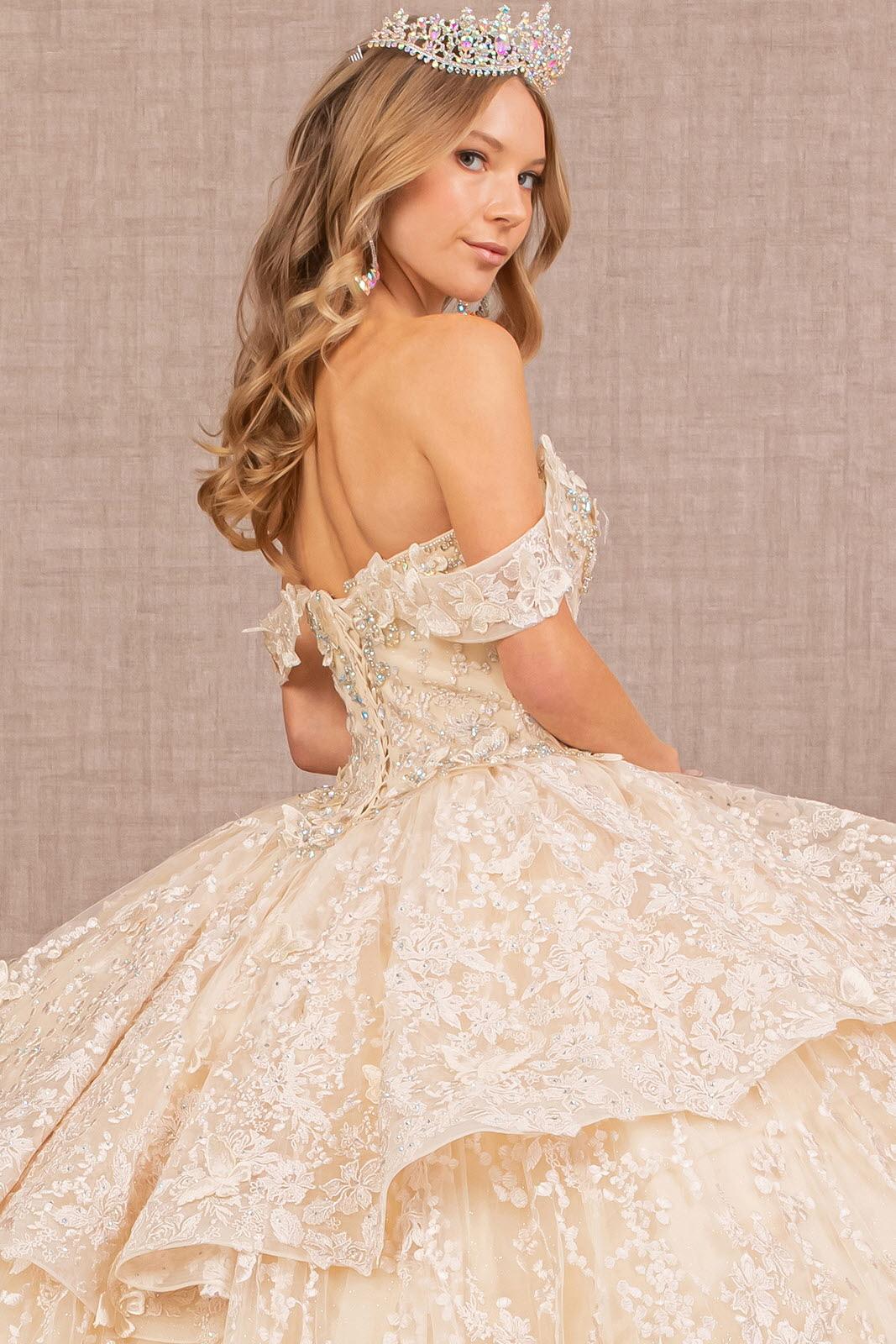Long Ball Gown Quinceanera Dress