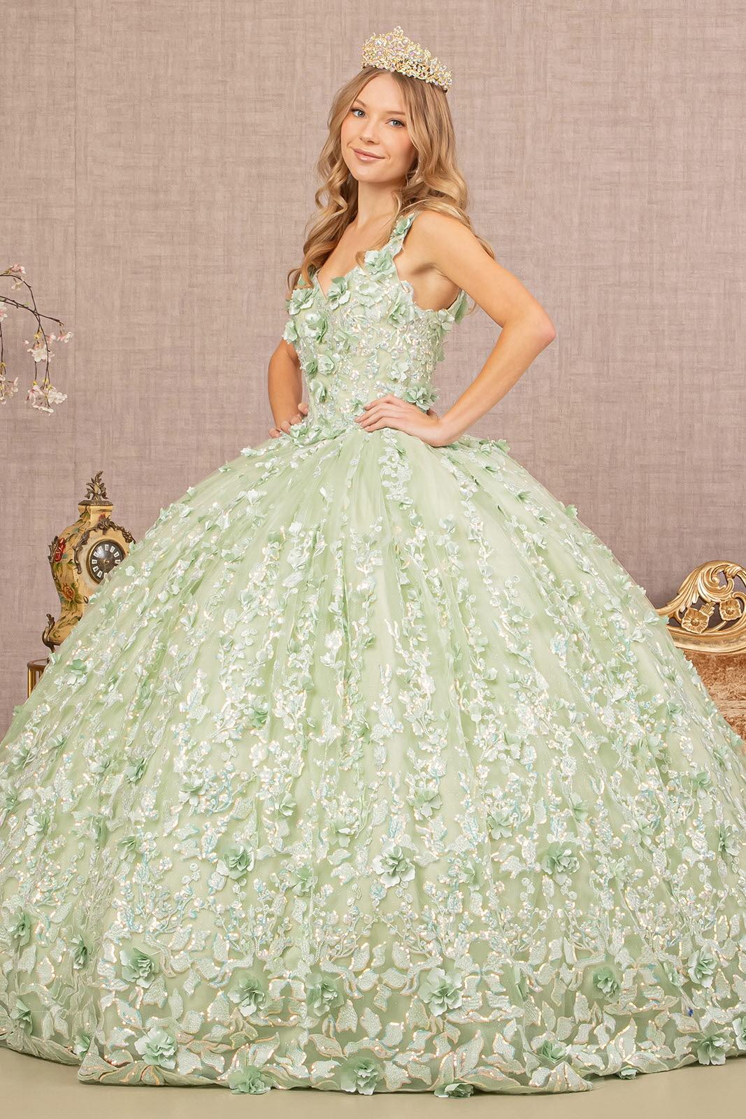 Long Quinceanera Mesh Ball Gown