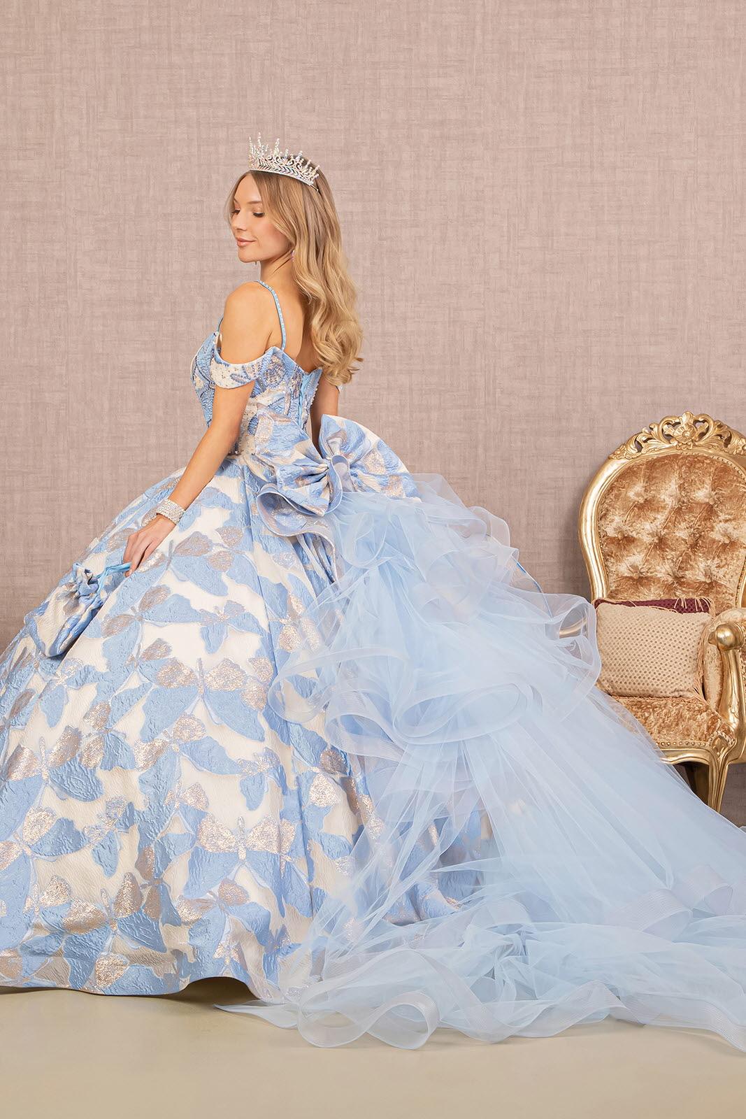 Long Quinceanera Dress Ball Gown