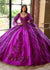 Quinceniera Dresses Quinceniera Applique Long Ball Gown Purple