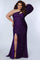 Plus Size Dresses Plus Size Long One Shoulder Prom Gown Purple