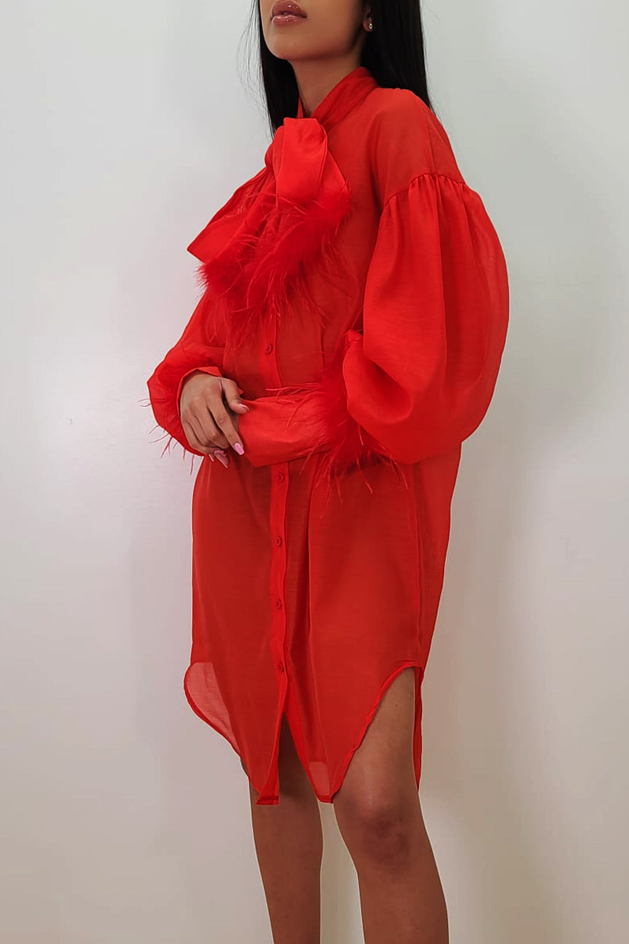 Long Sleeve Button Down Bow Sheer Short Dress